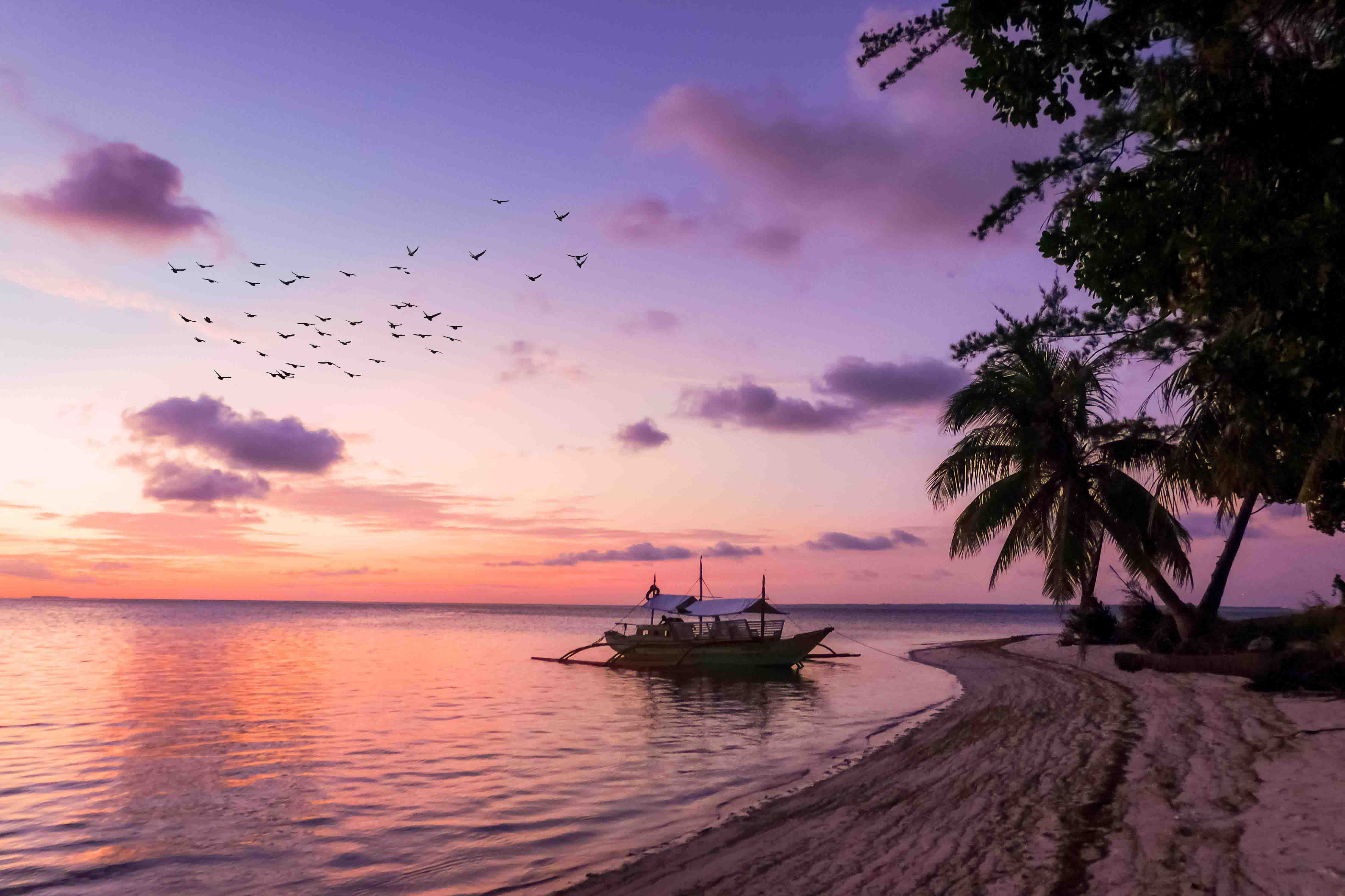image of a beach at sunset with boat