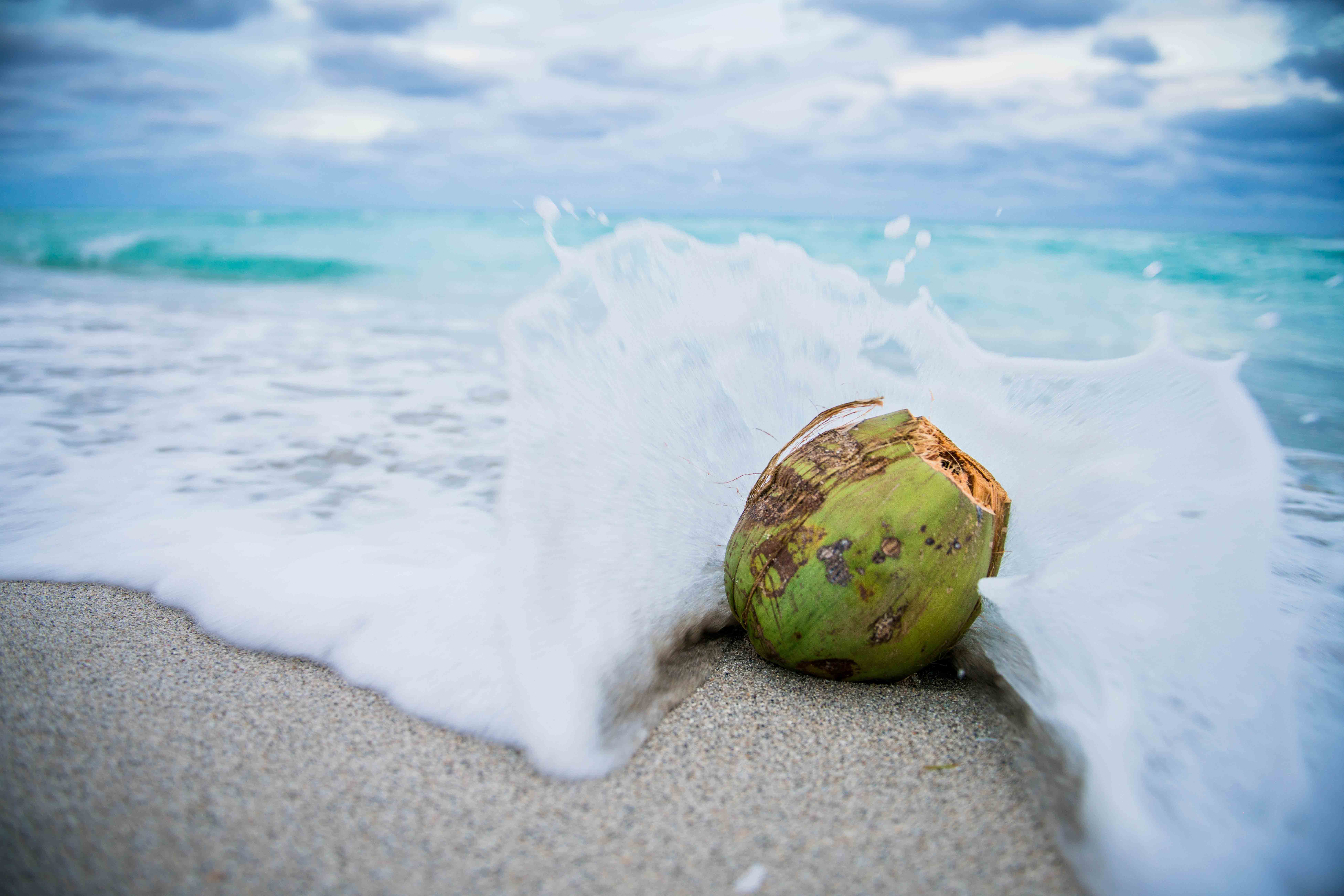fruit on beach